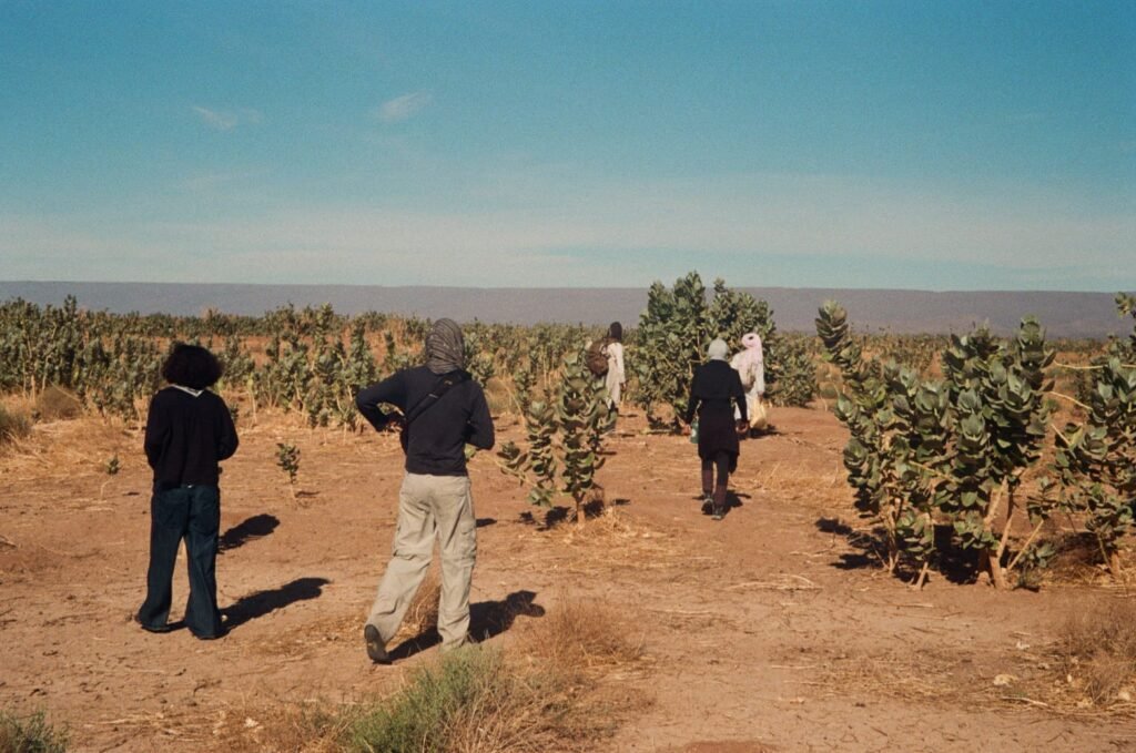 Randonnée Désert Marocain : Guide et Treks Inoubliables