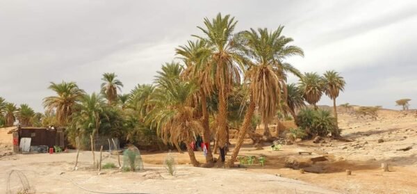 Circuit 2 jours depart de Ouarzazate