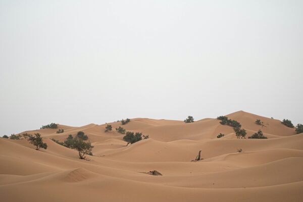 Circuit 3 jours depart Ouarzazate