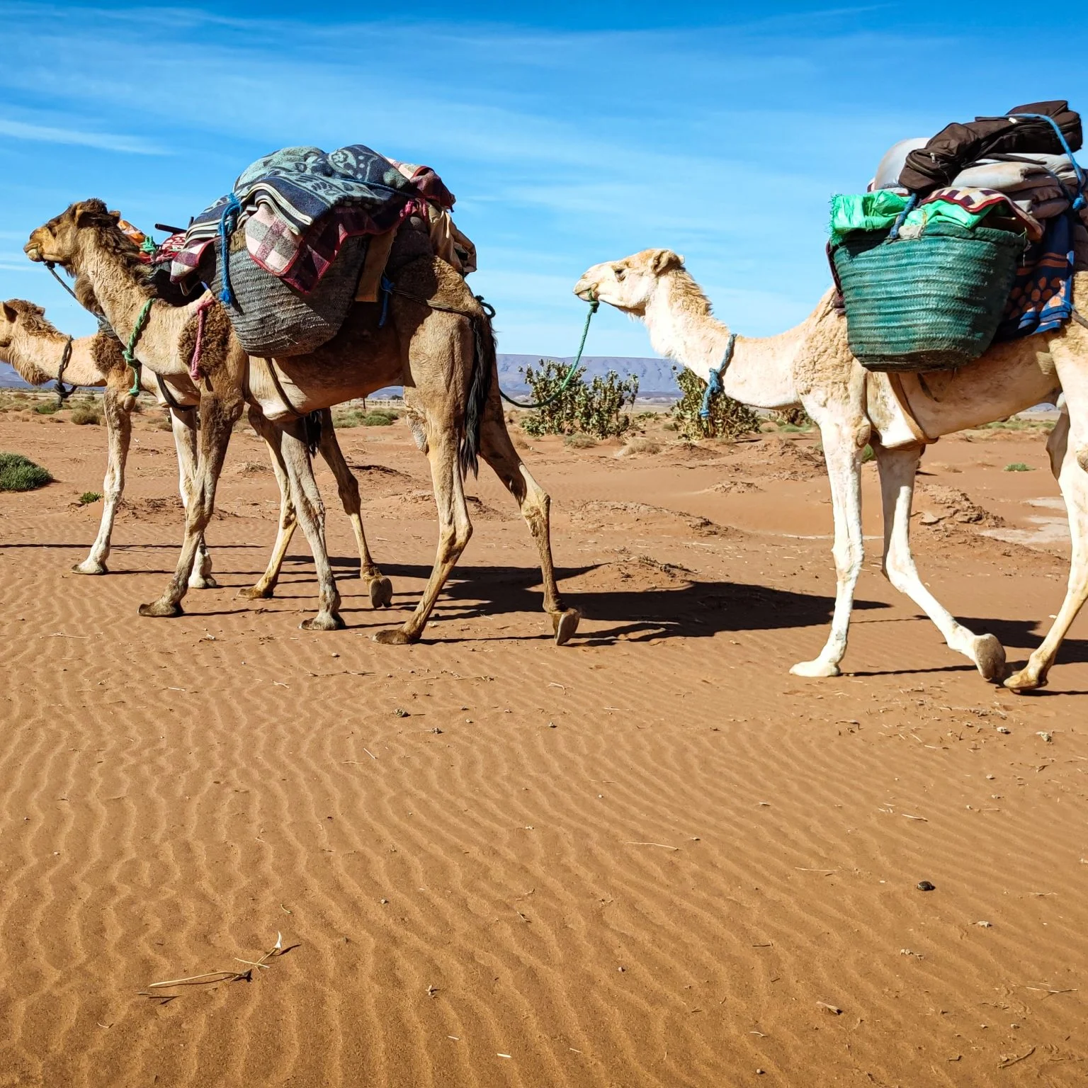 Trek Désert Marocain - Voyage Désert Mhamid