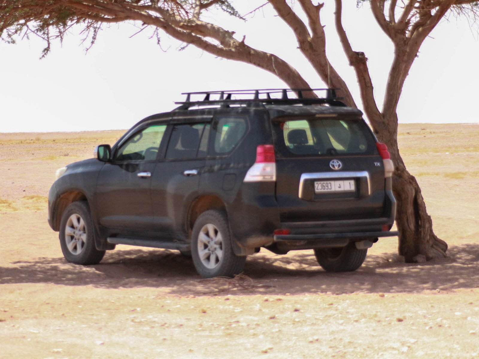 Trek Randonnées et Excursions 4x4 au Désert Maroc - Voyage Mhamid