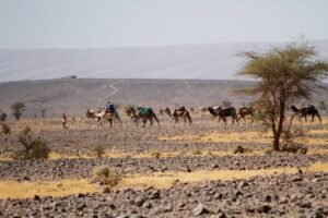 Les 5 Secrets d'une Excursion Inoubliable dans le Désert Marocain (M'hamid & Chegaga)