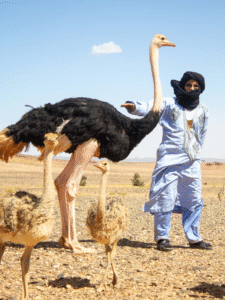 Désert Marocain - Guide Complet pour un Voyage Inoubliable