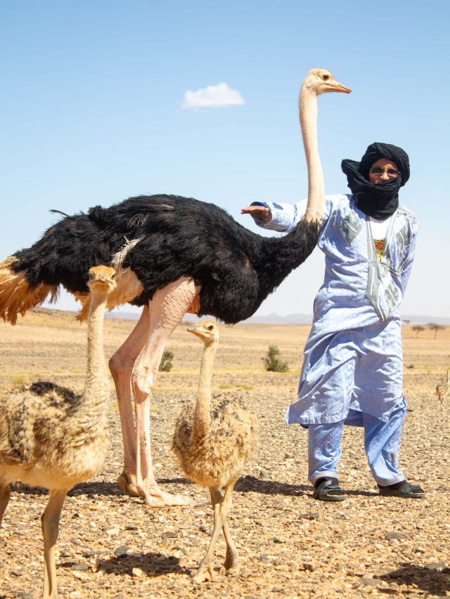 Désert Marocain - Guide Complet pour un Voyage Inoubliable