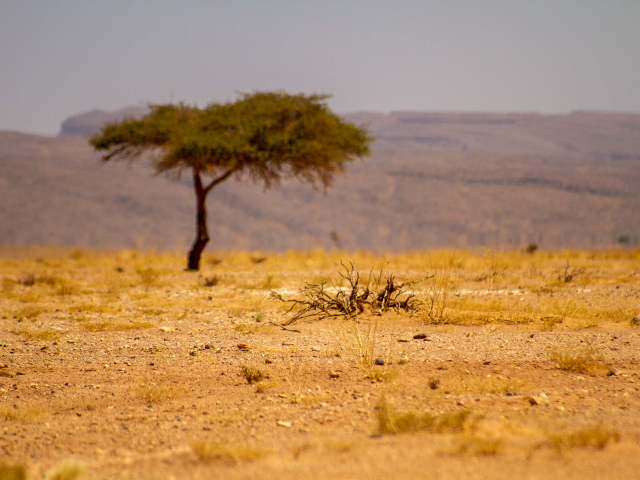 Conseils pratiques pour un voyage dans le désert marocain