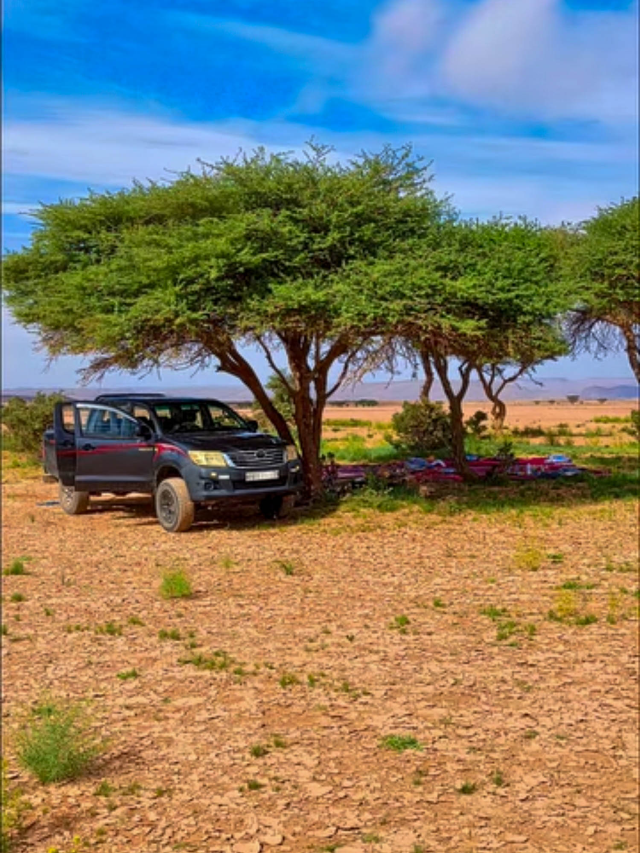 Une Nuit Sauvage au Cœur du Désert