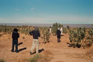 Randonnée Désert Marocain : Guide et Treks Inoubliables