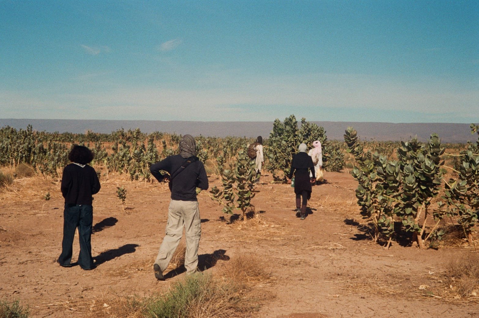 Randonnée Désert Marocain : Guide et Treks Inoubliables