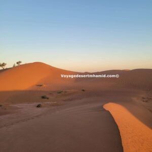 Excursion au départ de Marrakech - Voyage Désert Mhamid 1